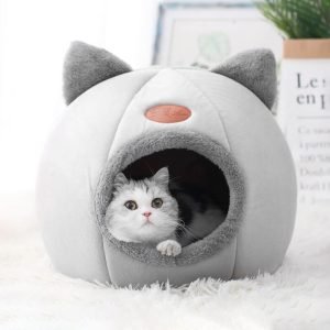 Bed for Cat Pet